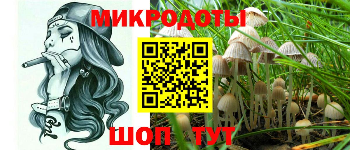 Псилоцибиновые грибы мицелий Омск