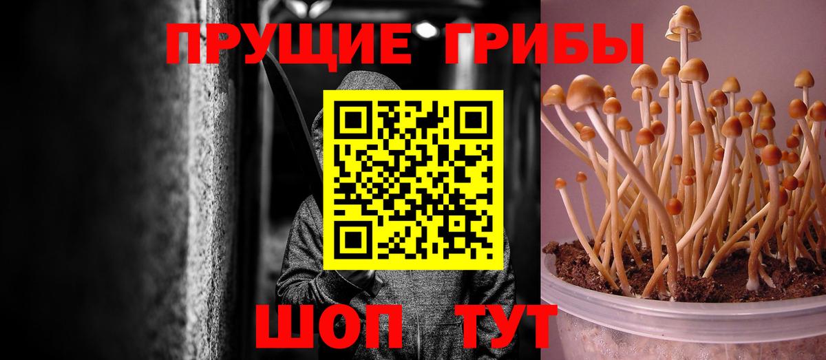 Галлюциногенные грибы ЛСД  Вход с VPN  Омск 